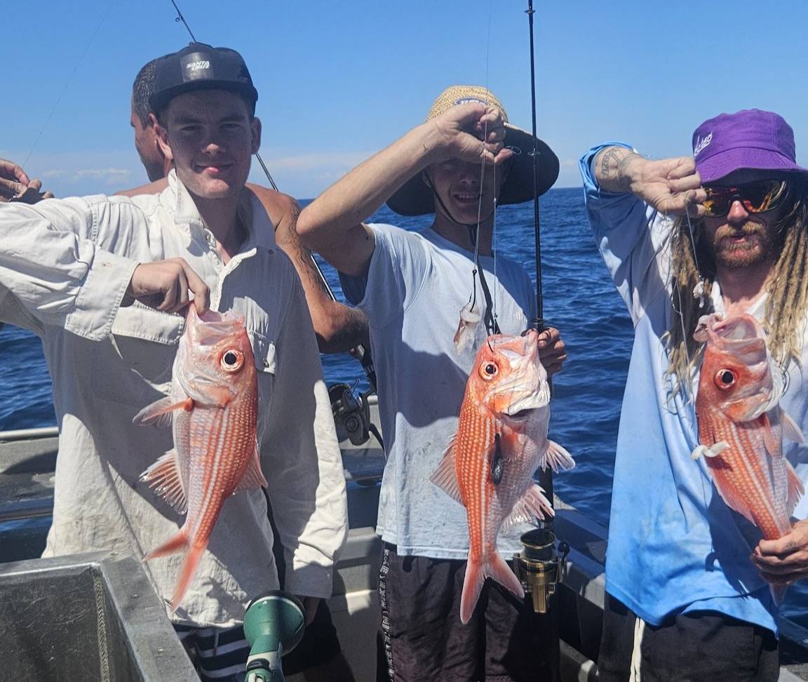 Latest Catch - Large Fish