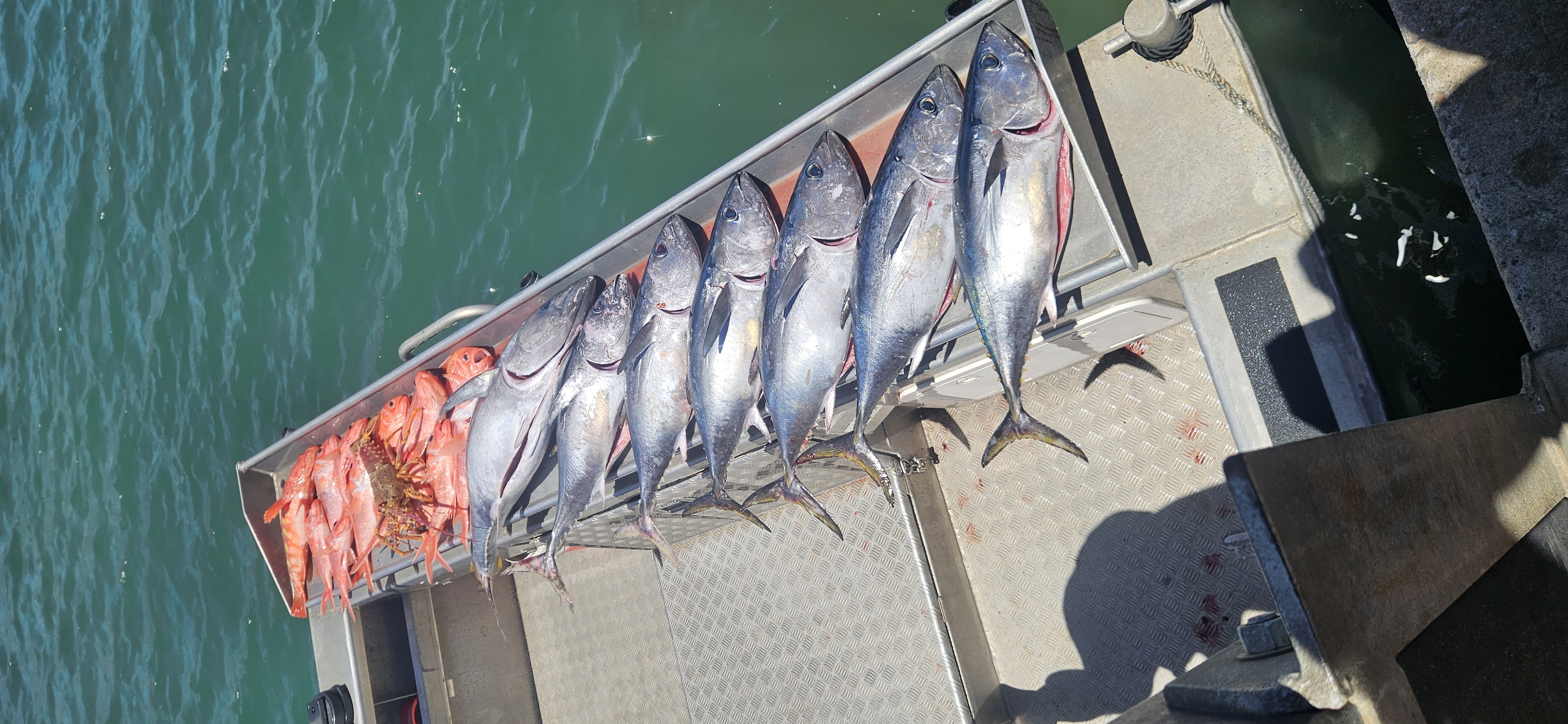 Midday Fishing Success
