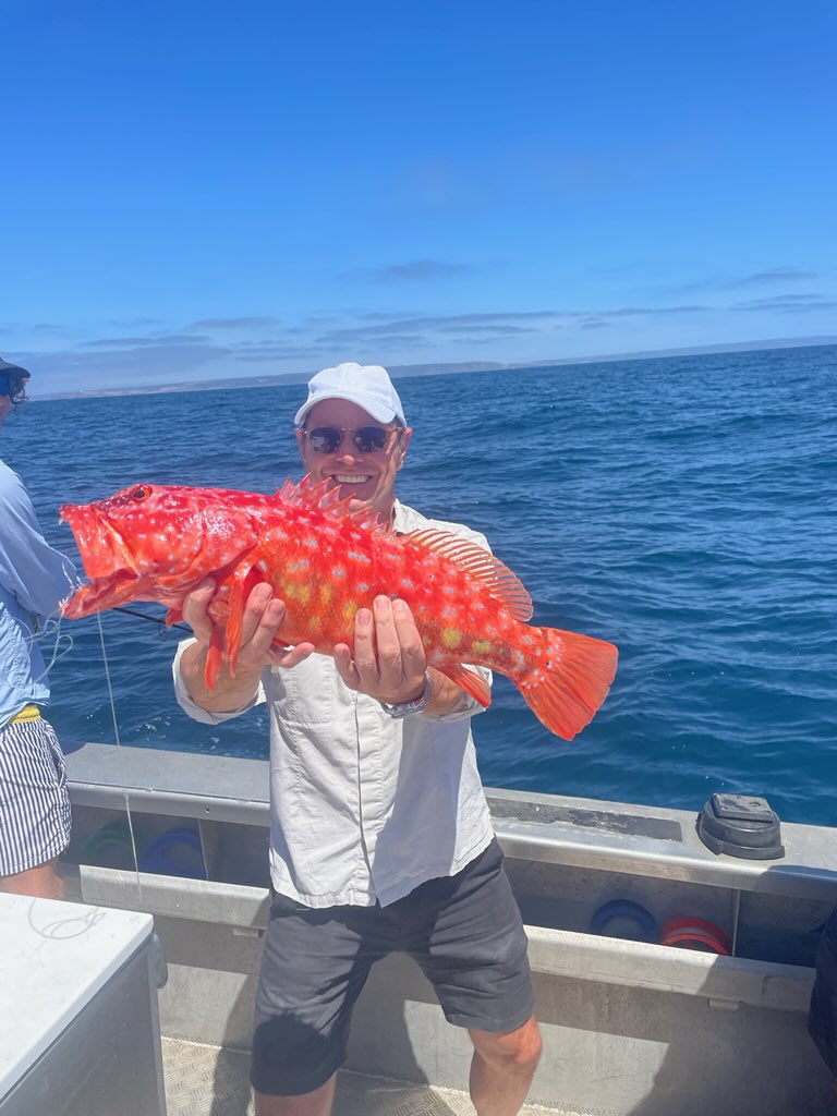 Perfect Catch